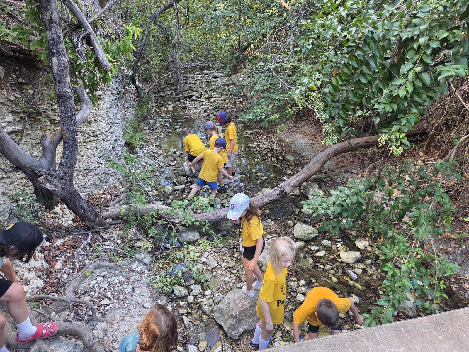 Scouts in matching yellow shirts crossing a rocky creek bed on a wooded hike