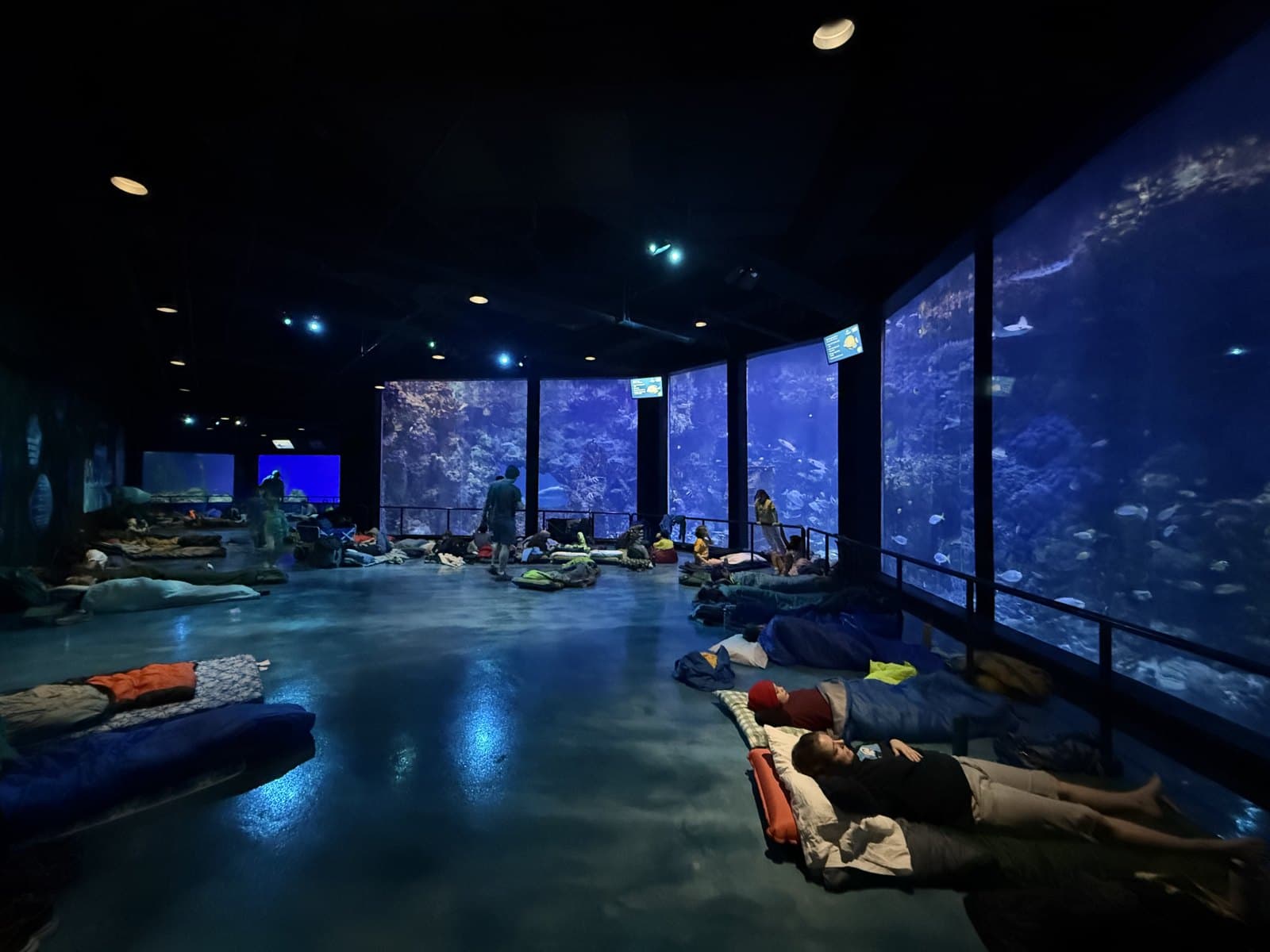 Cub Scouts and families sleeping in front of illuminated aquarium tanks during an overnight event